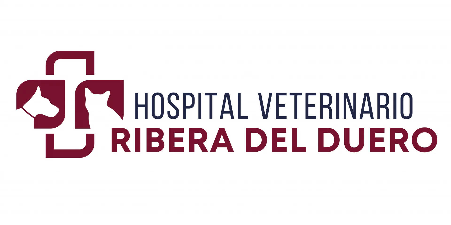 HOSPITAL VETERINARIO RIO DUERO